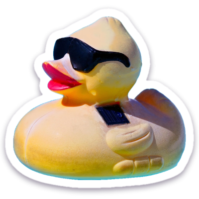 Cool Duck