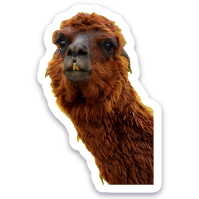 Derpy Alpaca